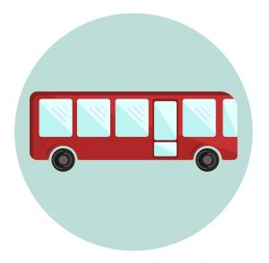 bus